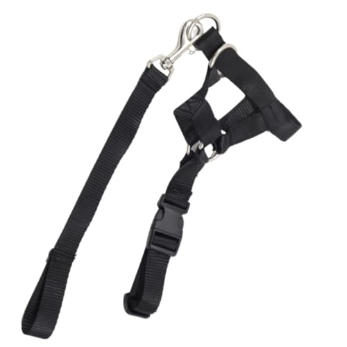 cmydong ヘッドカラー ジェントルリーダーハーネス 犬 引っ張り防止 しつけ 口輪 首輪 犬 マスク 犬用マズル サイズ調節可 着脱簡単 犬の口 保護 犬用訓練 しつけ用品 小型犬 中型犬 大型犬 ?(L)