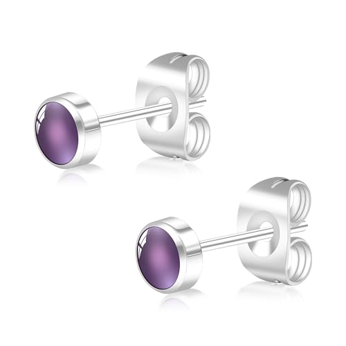 BLISI Amethyst Stud EarringsTitanium 4mm Natural Purple Gemstone Hypoallergenic Healing Crystal for Sensitive Ears 20G Dainty Womens Jewelry Ideal Gifts for Mom