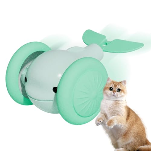 Lp̎[O{[AL̎ړ{[ - dCL̃{[̂ | gݍ݂̃JtȏƖAVт̂߂̓Q[AqL̃g[jO