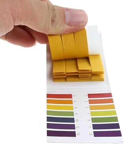 1pbNXgbv Ph1-14g}X PheX^[y[p[ jo[TCWP[^[y[p[eXg p S ^Ōy pHeXgXgbv HƂщȊw