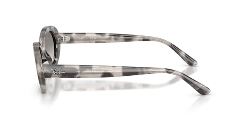 Image of Ray-Ban womens Rb2223 Oval Sunglasses