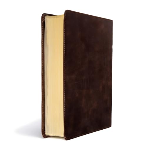 Image of CSB Study Bible, Brown Genuine Leather, Red Letter, Study Notes and Commentary, Illustrations, Articles, Word Studies, Outlines, Timelines, Easy-to-Read Bible Serif Type