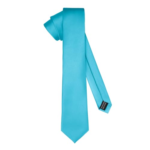 Ladeheid Cravate classique pour hommes, mate, parfaite pour le bureau et les festivités, couleurs variées - Idéale pour les réunions d'affaires, mariages...