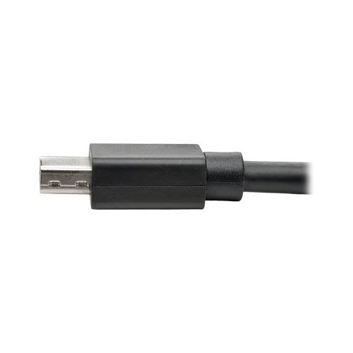 Cable Extensión Mini DisplayPort 10ft 4K@60Hz M/F miniatura 3