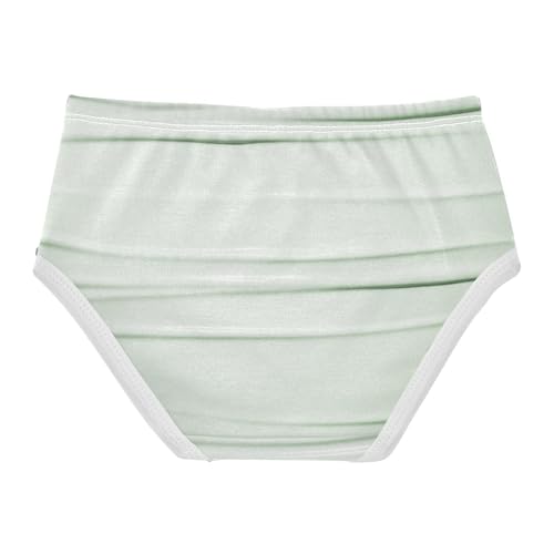 Cotton Panties All Seasons Panties Toddler Cotton Underwear for Toddler Girls in Sizes 2T,3T, 4T, 5T, 6Y and 8Y2