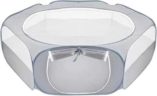 Vinebeautiful ܂肽ݎybgxr[T[NAybgxr[T[N - ܂肽ݎybgxr[T[NETM̃xr[T[N L̃xr[T[N Jo[gbvt - |ȒPȉ^tFXA܂肽ݎETMƔL̃xr[T[N