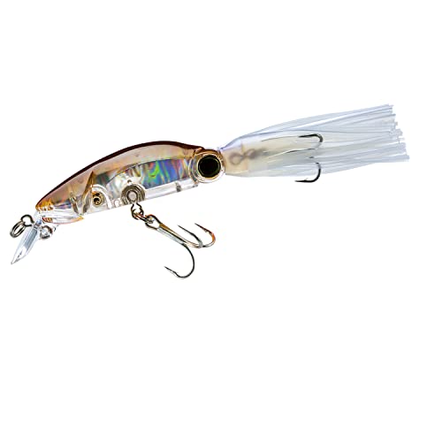 Yo-Zuri R1458-CPRB: 3D Squirt (F) 140Mm 5-1/2