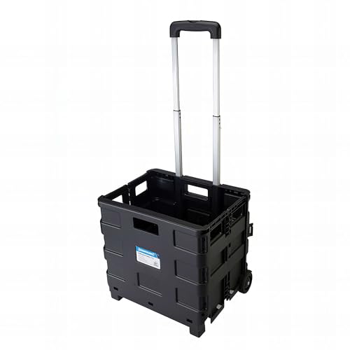 Carretilla con caja plegable de 25 kg para olvidarte de cargar bolsas pesadas del supermercado