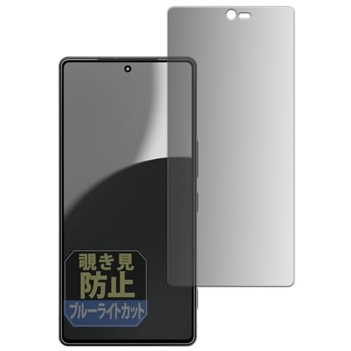 Leipsden SHARP AQUOS R9 pro ANIX Ή PrivacyAG ی tB `h~ vCoV[ `h~ ˒ጸ {