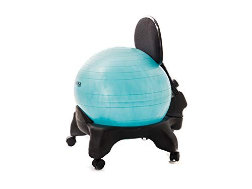 Chaise ergonomique avec ballon siège de bureau postural réglable