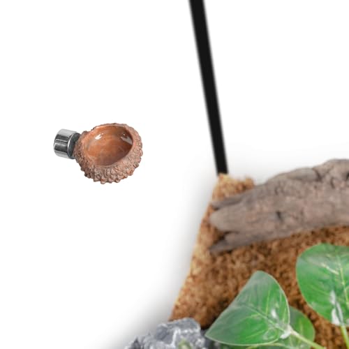 Escondite para araña saltarina y accesorios de recinto con plato de alimentación 8