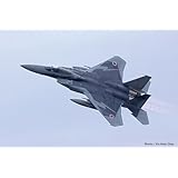 プラッツ 1/72 航空自衛隊 F-15J イーグル 第303飛行隊 2025 小松基地航空祭 記念塗装機 プラモデル AC-109 (飛行機)