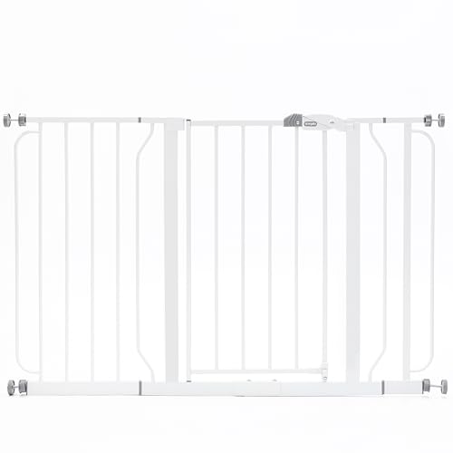 image for Regalo Safety 29-49