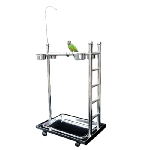 BHJW o[hbN IEX^h  ϏܗpX^h ybg~܂ XeXX`[ LX^[t ړȒP y