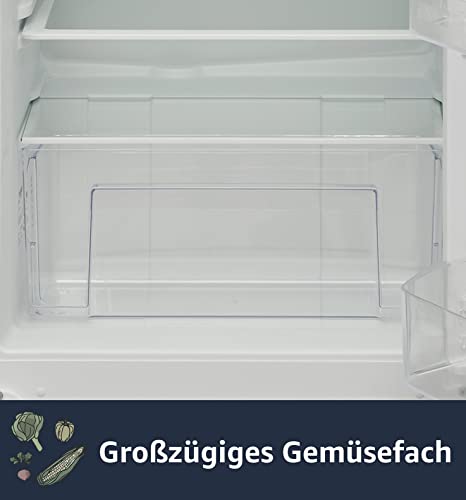 TELEFUNKEN EKGS120E Inbouwkoelkast met vriesvak (nis 88), sleepdeur, 148 kWh/jaar, koelgedeelte van 104 liter, vriesgedeelte van 17 liter, verwisselbaar, in hoogte verstelbare poten - Afbeelding 4