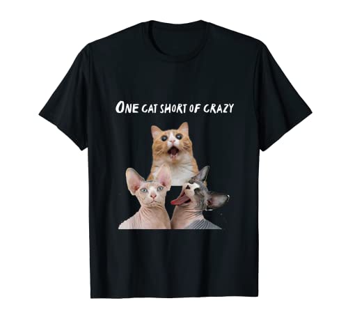 Crazy Cat Lady Man camisetas, un gato corto de regalos locos y divertidos Camiseta