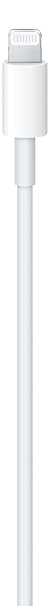 Apple USB-C to Lightning Cable (1 m)