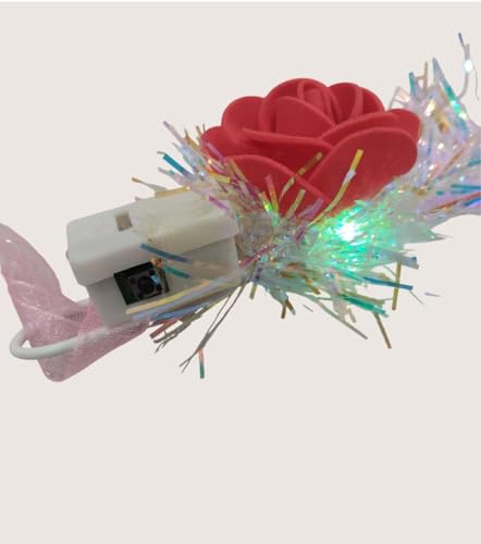 Image of BookMyCostume Headwear Collection - Decorative Tiaras, Floral Crowns, Animal Ears & Themed Headbands for Birthdays, Festivals & Role-Play - Kids & Adults Accessory