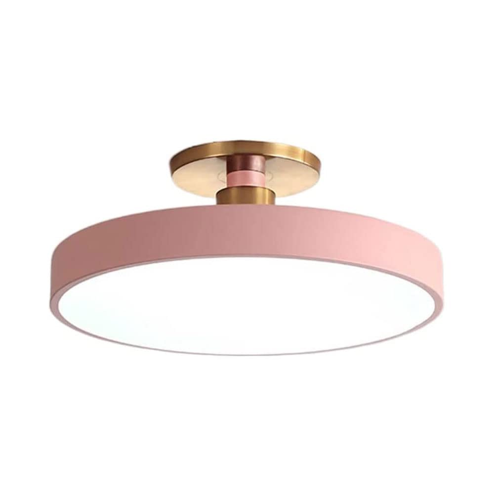 JISHUBO Round Wrought Iron Ceiling Lamp, LED Flush Mount Ceiling Light, Three-color Dimming Ceiling Light, Surface Mount Ceiling Light Fixture, Acrylic Lampshade Flat Lamp