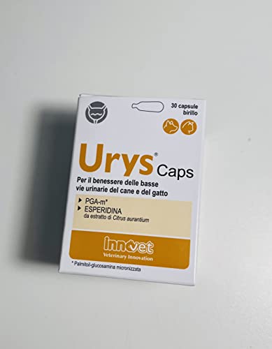 Innovet Urys® Cur Per il benessere delle basse vie urinarie