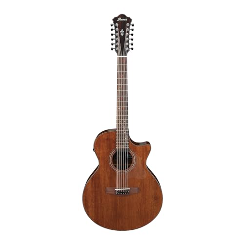Ibanez AE2912 12AR[XeBbNGLM^[-i`[OX