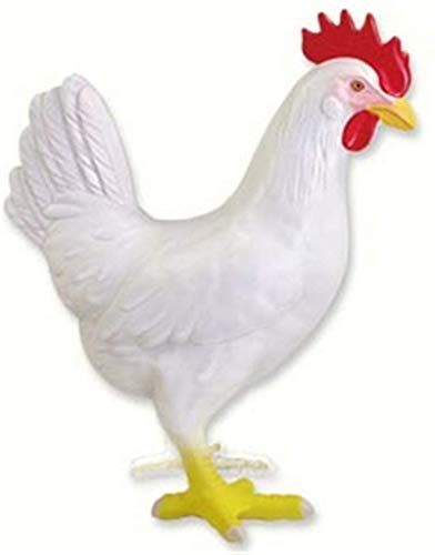 Anatomisches Tiermodell – Anatomisches Modell Huhn, abnehmbare 32 wissenschaftliche anatomische Tierteile – für medizinisches Ausbildungsmodell in der Tierbiologie