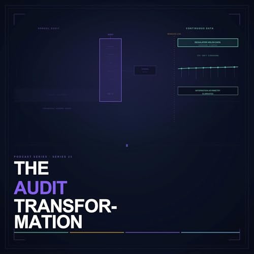 Series 23 - The Audit Transformation: When Real-Time Data Makes Annual Audits Obsolete cover art