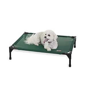 K&H Pet Products Elevated Outdoor Dog Cot, Raised Cooling Bed With Washable Breathable Mesh for Medium Dogs, Portable Platform, Heavy Duty Metal Frame Hammock, Medium, Green