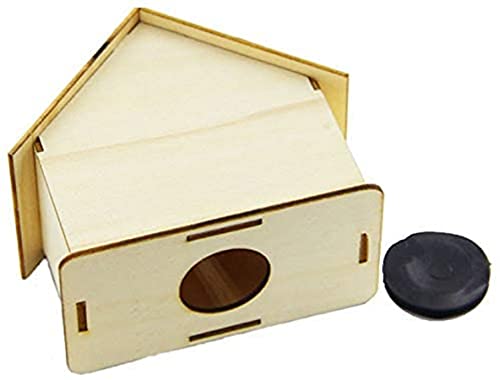 Alfyng 6 Pcs Diy Wooden Piggy Bank, Children's Handmade House Coin Bank, Paint And Decorate Assembly House Craft Kits, Fun Unfinished Art Craft Creative Gifts For Kids (4.1"X4.1"X2.2") #TOP3