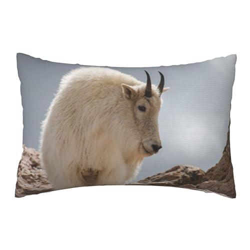 ʃvbVJo[A_炩ȁA20x30C`Axbh\t@ɍœKiApCbL[}EeMxRh̖єo܂j