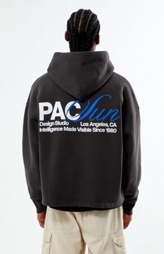 PacSun Men's Studio Hoodie3