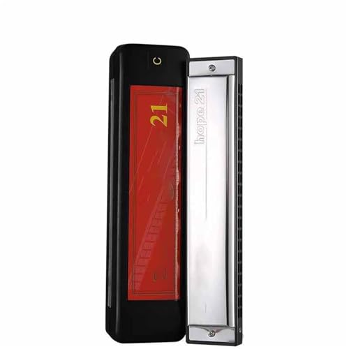 Harmonica 21 trous tremolo diatonique do majeur musique polyphonique débutant