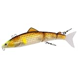 ダイワ(DAIWA) ルアー AYUING(アユイング)ジョイント110S-LI LIナチュラルアユ