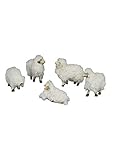 krippenfiguren schafe günstig 5 Teilig Unbekannt NWS13 5 Teiliges Wollschaf-SetKrippentiereKrippenfigurenWeihnachtsfiguren, weiß, 13 cm