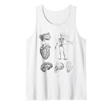 Antique Anatomy Collection