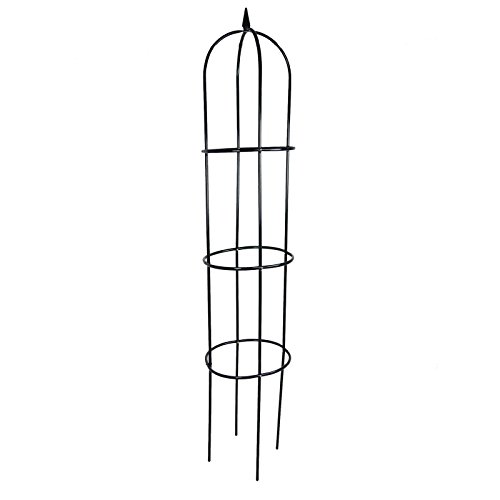 Preisvergleich Produktbild Rankhilfe, Stahl Größe: 200x40cm