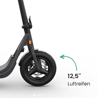 Egret X Serie - Prime, Ultra, Core+, Elektroscooter, E-Scooter mit Straßenzulassung, bis 90km Reichweite, Elektroroller Erwachsene, Eroller 20 kmh, App-Steuerung, Zuladung max. 130kg (X+ - bis 60 km)