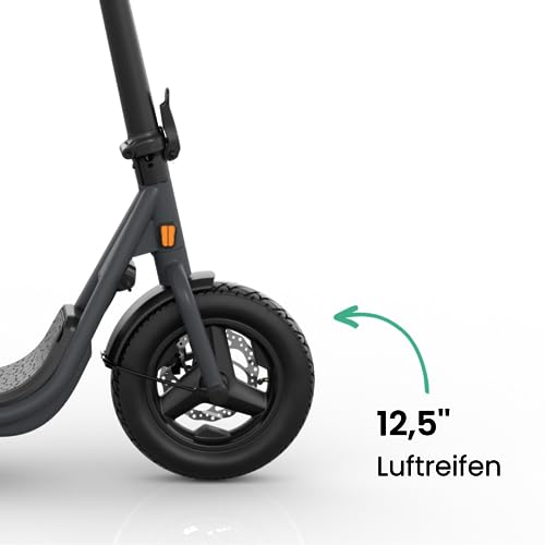Egret X Serie - Prime, Ultra, Core+, Elektroscooter, E-Scooter mit Stra&szlig;enzulassung, bis 90km Reichweite, Elektroroller Erwachsene, Eroller 20 kmh, App-Steuerung, Zuladung max. 130kg (X+ - bis 60 km)