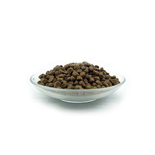 Bellfor Freiland-Schmaus Junior Trockenfutter mit Huhn für Welpen und Junge Hunde Getreidefrei Optimal für ernährungssensible Hunde Hoher Anteil an Omega-3-Fettsäuren 7,5 kg