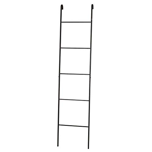 SPICE OF LIFE ラダーシェルフ 組立式 ジョセフアイアン インテリア はしご型 38×165cm DTFF9240