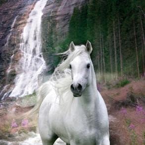 GB eye Bob Langrish Waterfall 61 x 91.5cm Maxi Poster