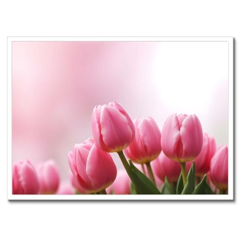 Poster tulipes roses cadre noir 70x50 cm décoration murale fleur
