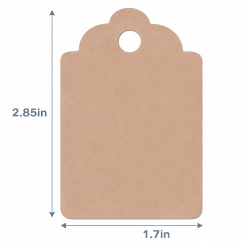 Image of CVANU 150pcs Premium Color Tag Blank Hanging with Pre-Punched Hole Tags for DIY Crafts, Gift Wrapping, Labelling & Writable Decorative Tags for All Occasions (2.85in X 1.7in) Light Brown1