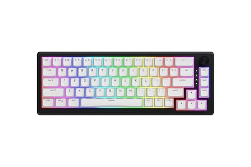 HATOR Skyfall 65 Wireless Clavier Gaming mécanique sans Fil, Mechanical Switches, Hot-Swap, RGB, Gasket-Mount, N-Key Rollover, 1000Hz, 2.4GHz/Bluetooth/USB-C, PC/Mac, US/ANSI Layout (QWERTY)