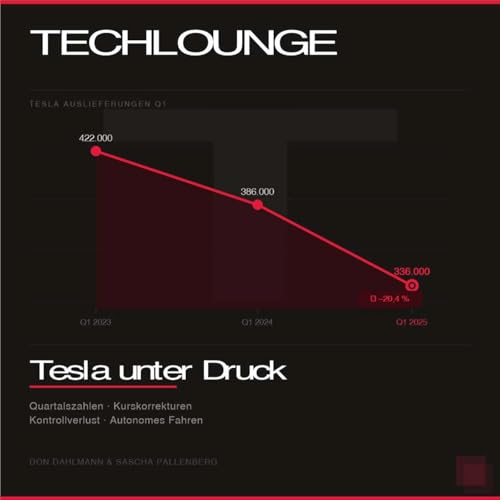 Kontrollverlust: Teslas gef&auml;hrliche Wette auf die Zukunft