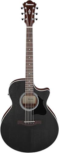 Amazon | Ibanez/アイバニーズ オール・オコウメ(TOP単板)仕様の
