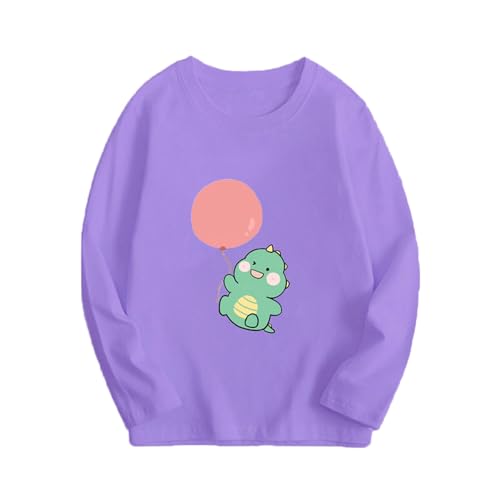 Girls Cartoon Dinosaur Print Tops T-Shirt Long Sleeve Shirts Cute Graphic Tees Fall Casual Cotton Tshirts