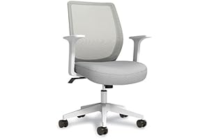 Dexley Mesh Task Chair: Ergonomic Comfort for Your Workspace