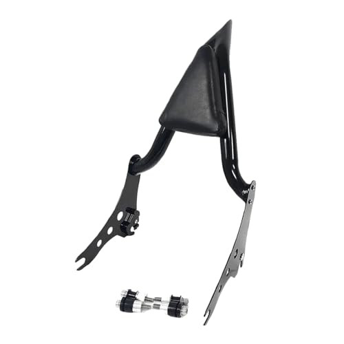 Barre Sissy noire avec porte-bagages pour Softail FXLR Glide, finition premium