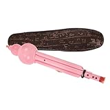 TOYZFRIENDY B soprano Hulusi Flöte mit Löchern Bruchsicheres Anfänger blasinstrument mit Tasche...